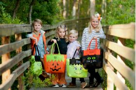 Halloween Candy sack