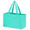 Ultimate Tote - Mint